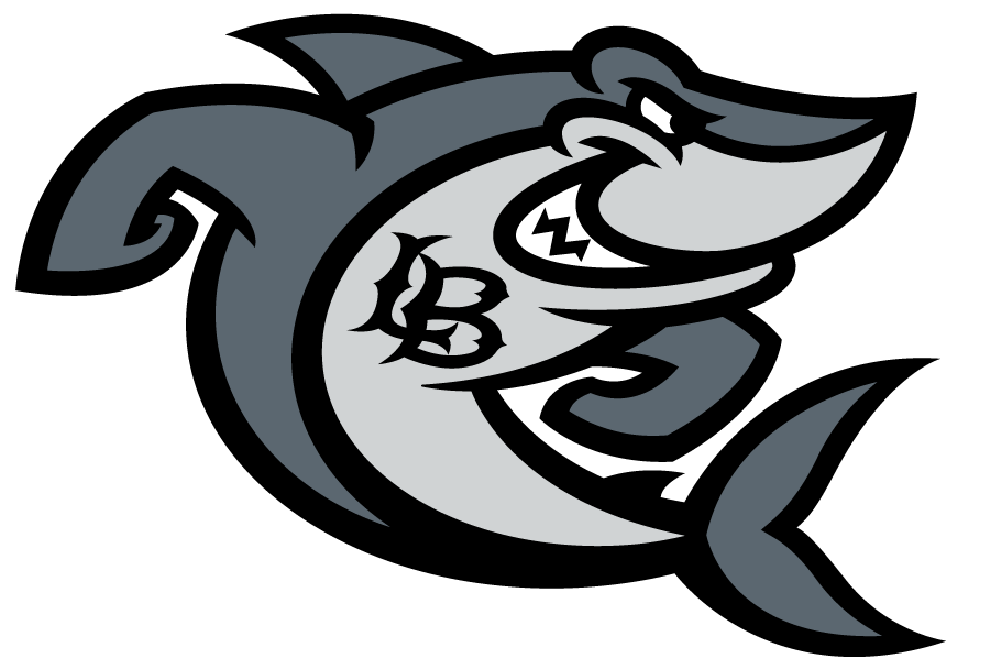 Long Beach State 49ers 2020-Pres Mascot Logo v6 diy iron on heat transfer